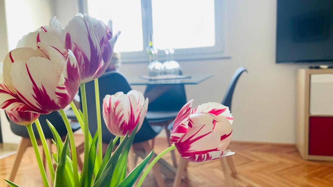 Apartment Iva Rijeka Buitenkant foto